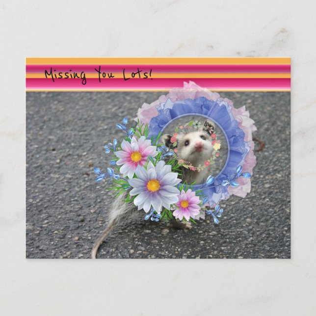 Postcard Opossum Floral Stripe Missing you lots! (Front)
