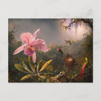 Postcard: Orchid and Hummingbirds Postcard
