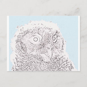 Postcard - Owlet to Colour