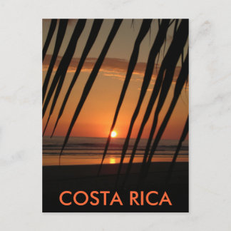 Postcard Palm Sunset,  COSTA RICA