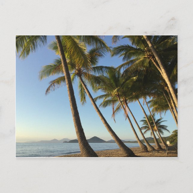 postcard palm trees and sea (Front)