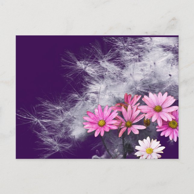Postcard Postcard Flowers and Thistle Seeds (Front)