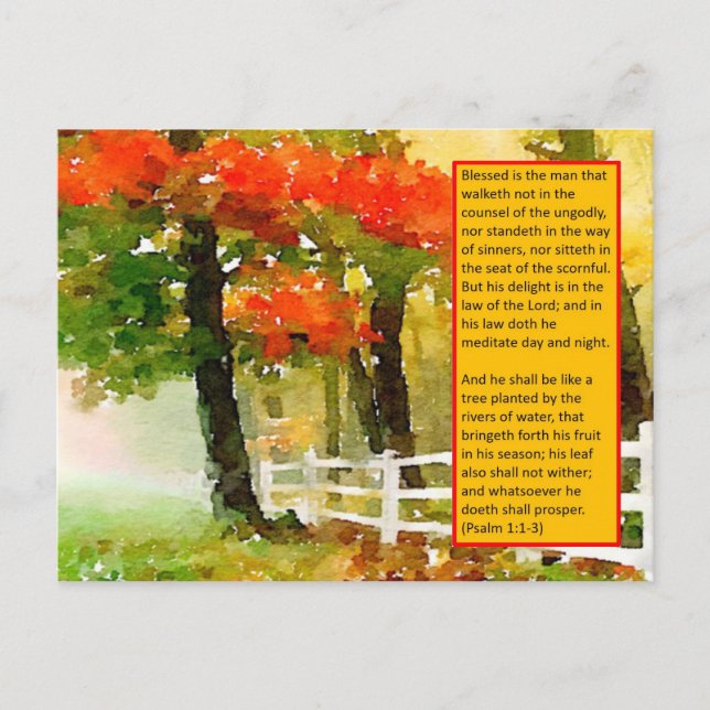 Postcard - Psalm 1:1-3 Blessed Is The Man (Front)