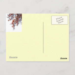 Postcard-Red Kite in the Wind collage Postcard