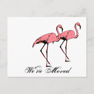 Postcard Retro We've Moved New Address Flamingo PC