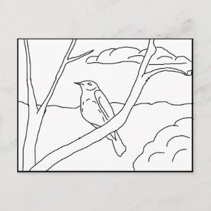 Postcard - Robin to Colour