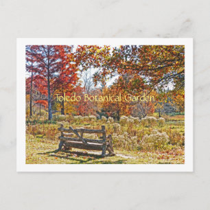 postcard/RUSTIC BENCH AMID FALL COLOR AT TOLEDO BO Postcard