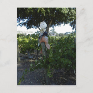 Postcard, Scarecrow at Peachy Canyon Winery Postcard