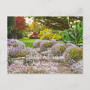 postcard, Schedel Arboretum and Gardens Postcard