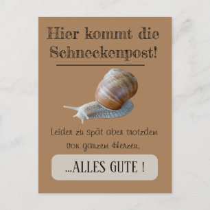 Postcard snail symbolically posterior greetings