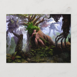 Postcard - Sorrow Woods