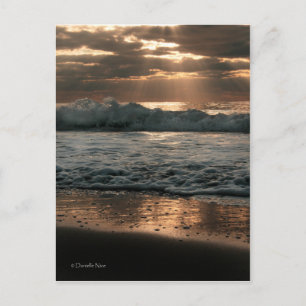 PostCard_splash Postcard