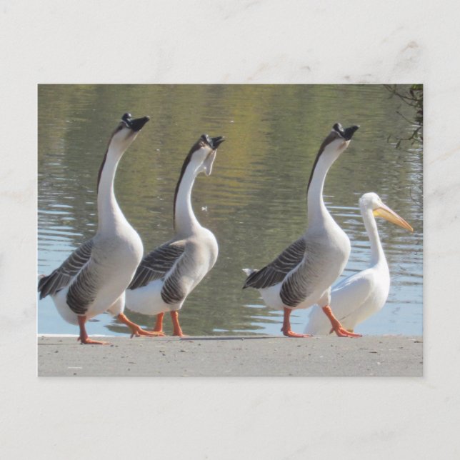 Postcard - Strolling at Lakeside (Front)