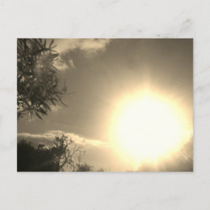 Postcard sunshine style design