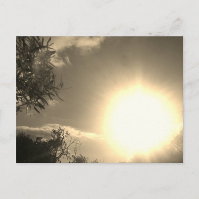 Postcard sunshine style design (Front)