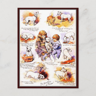Postcard: The Adventures of Pincher the Dog Postcard