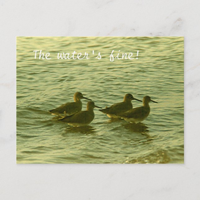Postcard - The Water'F fine! (Front)