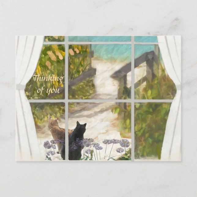 POSTCARD THINKING OF YOU Cats and Ocean  (Front)