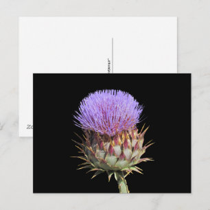 Postcard - Thistle