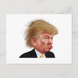 Postcard to the White House