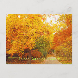 POSTCARD/TOLEDO BOTANICAL GARDEN/AUTUMN PATH POSTCARD