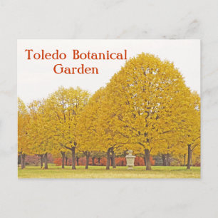 POSTCARD,"TREES OF GOLD" TOLEDO BOTANICAL GARDEN POSTCARD