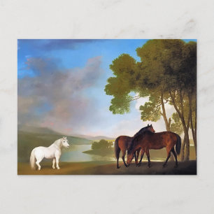 Postcard: Two Bay Mare & a Grey Pony Postcard