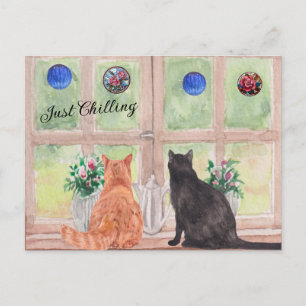 POSTCARD Two Cats at the Window Serene Flowers
