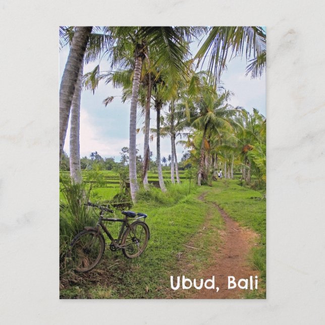 Postcard Ubud Bali Indonesia rice fields bike (Front)