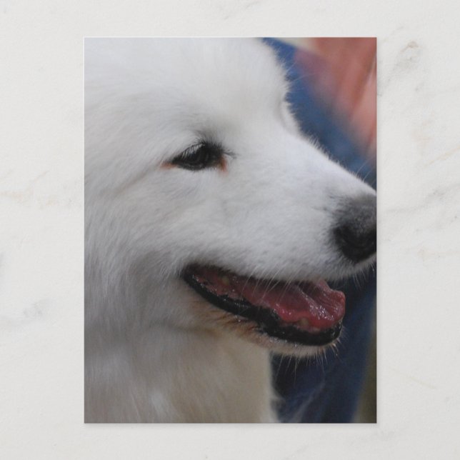 Postcard Vertical Template - Customised (Front)