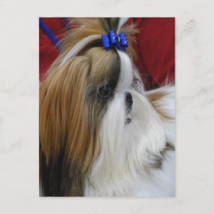 Postcard Vertical Template - Customised