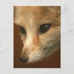 Postcard Vertical Template - Customised