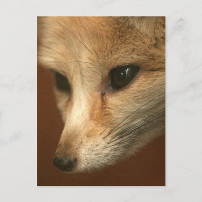 Postcard Vertical Template - Customised (Front)