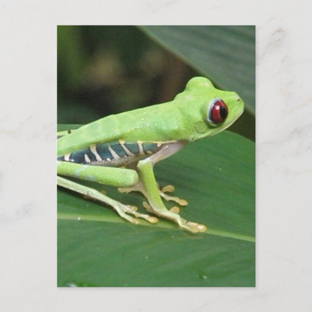 Postcard Vertical Template - Customised (Front)