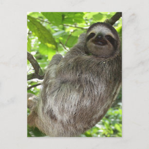 Postcard Vertical Template - Customised