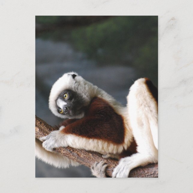 Postcard Vertical Template - Customised (Front)