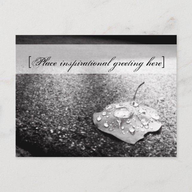 Postcard - Vessel (Front)