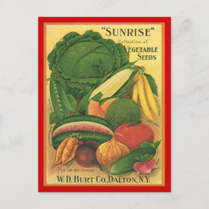 Postcard Vintage Antique Burt Co Vegetable Seeds