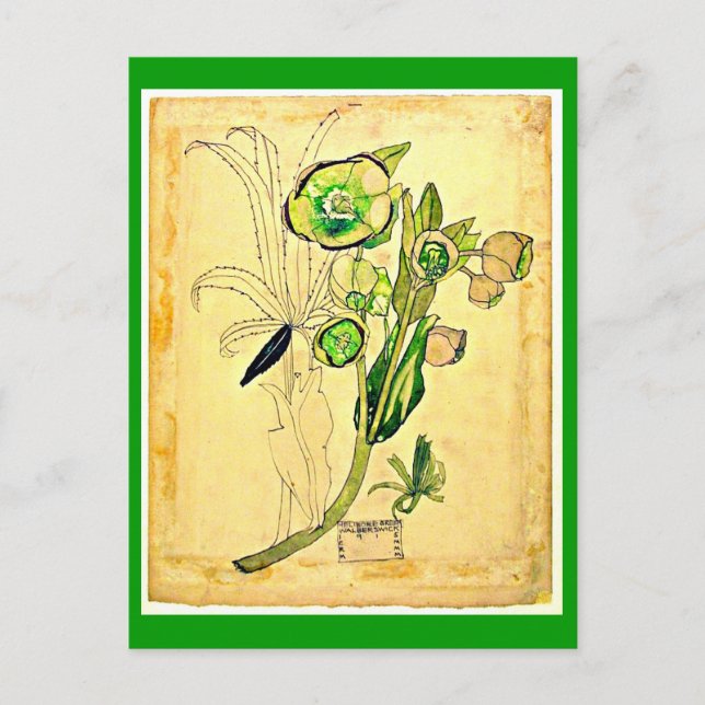 Postcard-Vintage Art-Charles Rennie Mackintosh 19 Postcard (Front)