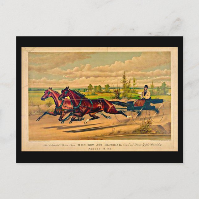 Postcard-Vintage Boston Artwork-41 Postcard (Front)