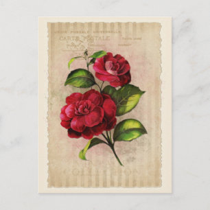 Postcard Vintage Collection - Vol.3 - Postcard