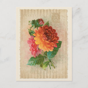Postcard Vintage Collection - Vol.4 - Postcard