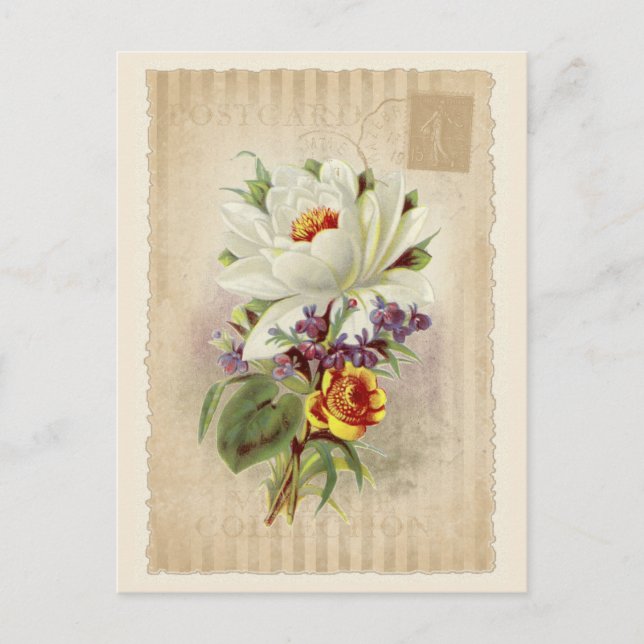 Postcard Vintage Collection - Vol.6 - Postcard (Front)