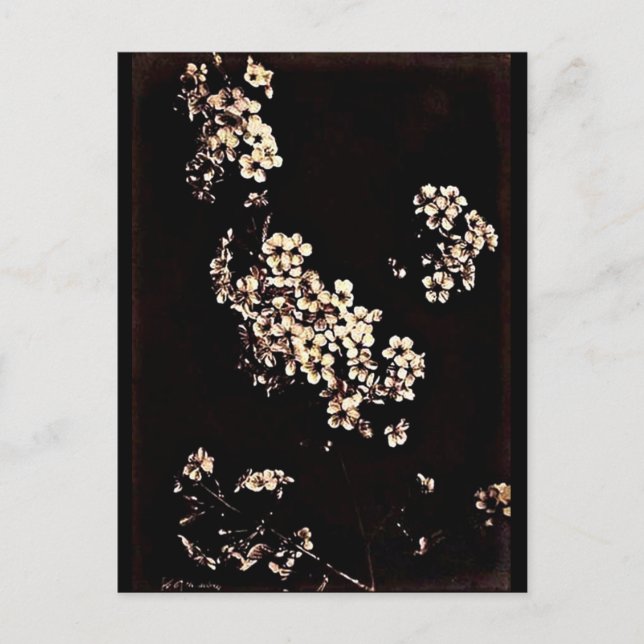 Postcard-Vintage Photography-Charles Aubry 27 Postcard (Front)