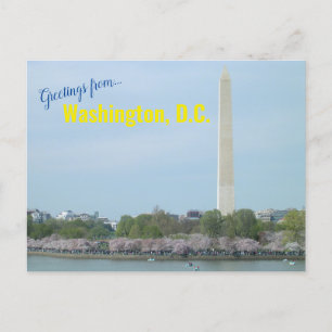 Postcard - Washington Monument and Cherry Blossoms