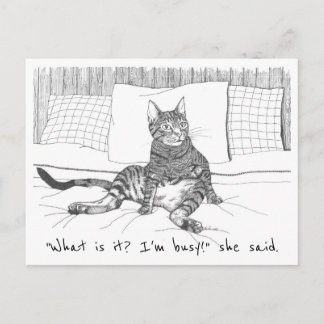 postcard: "What do you want?" (Lily) Postcard