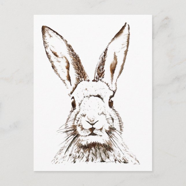 Postcard - Wild Hare (Front)