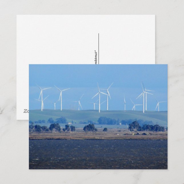 Postcard - Wind Farm on the Delta (Front/Back)