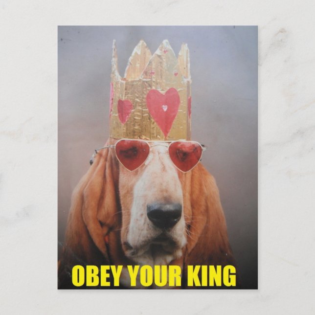 Postcard With Basset Hound King (Front)
