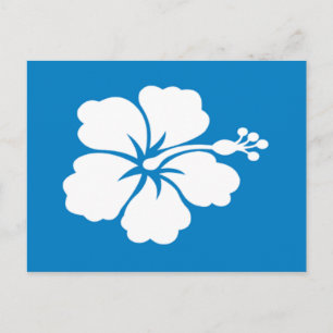 Postcard with blue-white hibiscus